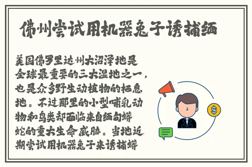 打扑克不盖被子剧烈晃动